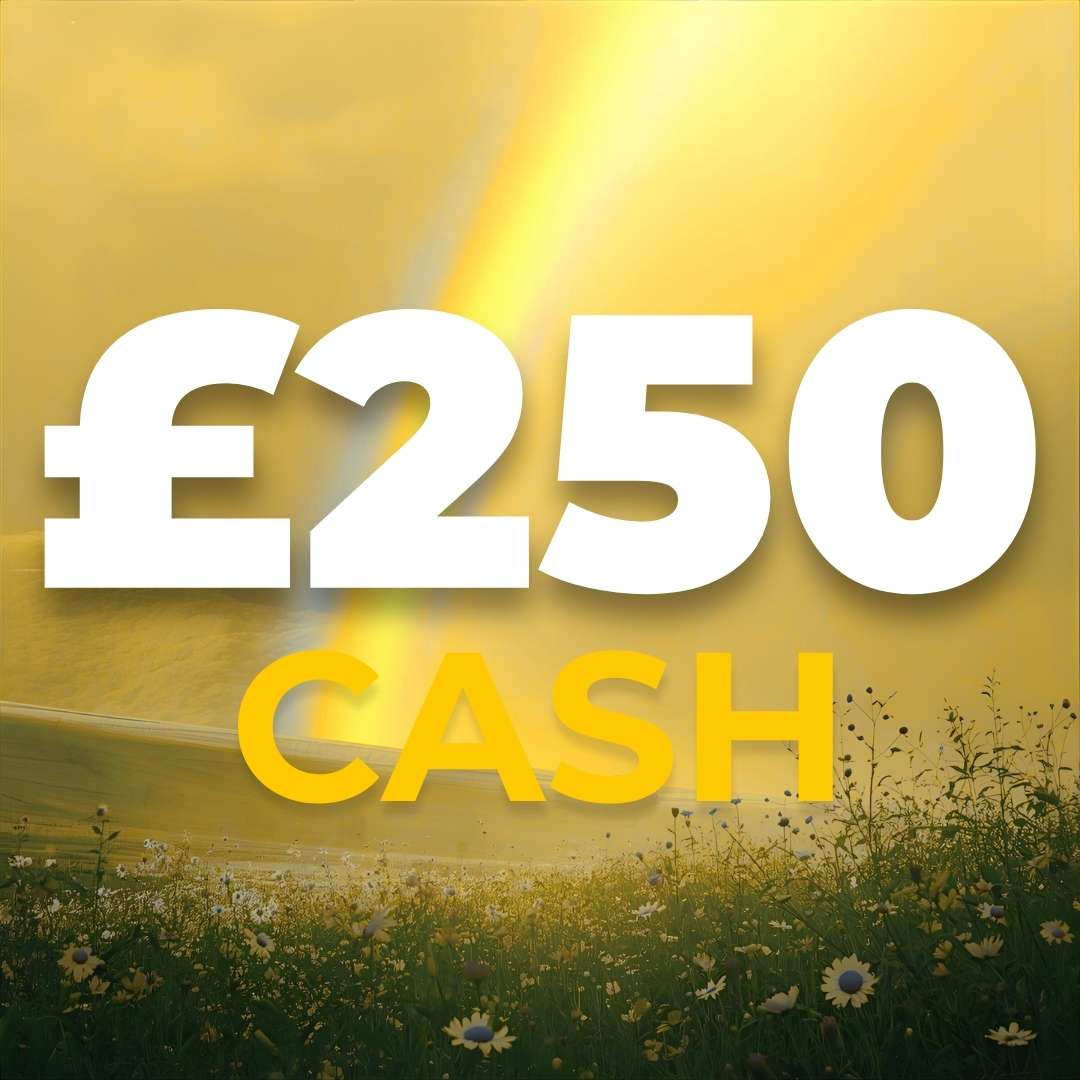 The Yellow Rainbow | £250 | 5 Points